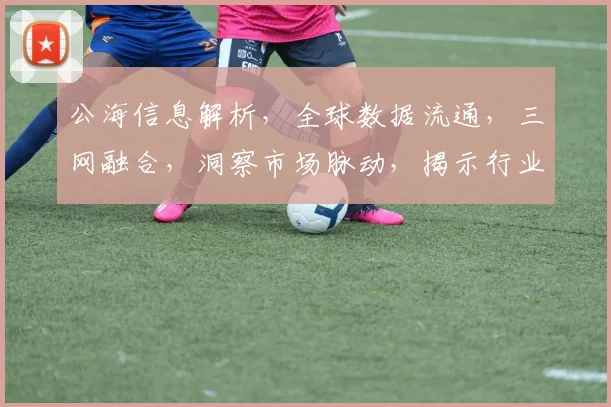 公海信息解析，全球数据流通，三网融合，洞察市场脉动，揭示行业奥秘