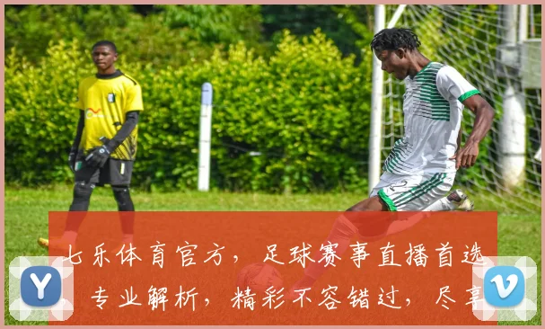 七乐体育官方，足球赛事直播首选，专业解析，精彩不容错过，尽享激情盛宴