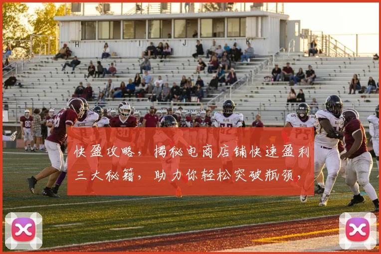 快盈攻略，揭秘电商店铺快速盈利三大秘籍，助力你轻松突破瓶颈，业绩翻倍增长