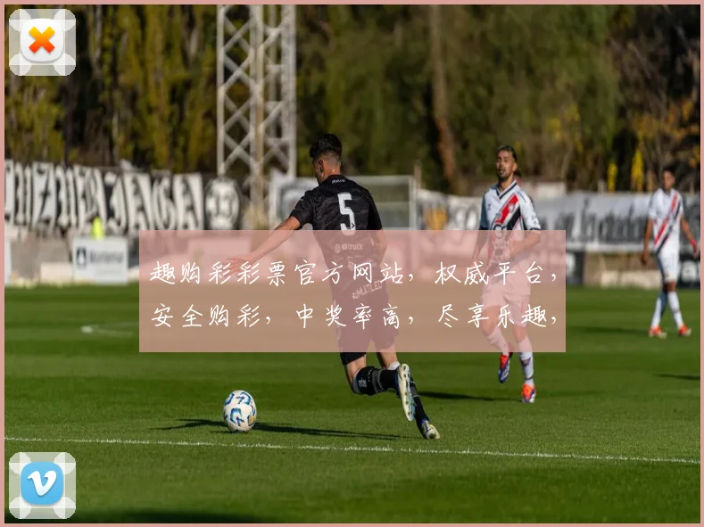 趣购彩彩票官方网站，权威平台，安全购彩，中奖率高，尽享乐趣，不容错过，快速注册，赢取大奖
